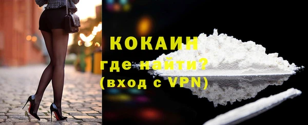 стафф Аркадак
