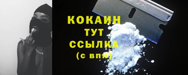 стафф Аркадак