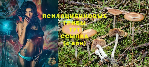 стафф Балабаново